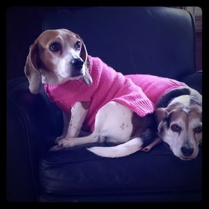 Meet your Posher, Dena